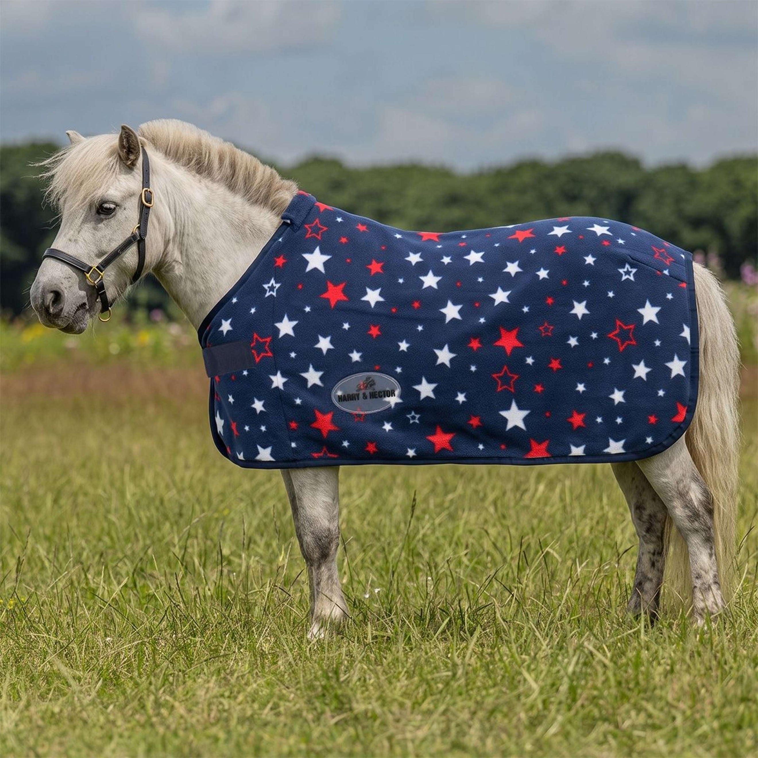 HB Harry & Hector Fleece deken Star Blauw