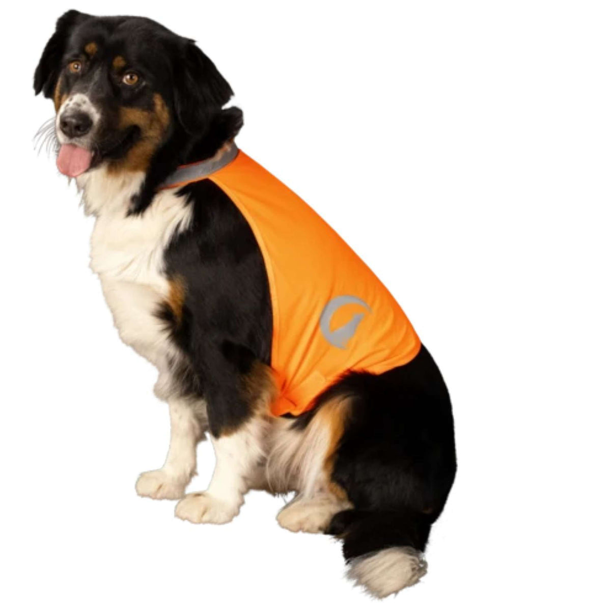 Excellent Dog Safety Vest Nightwalk Oranje