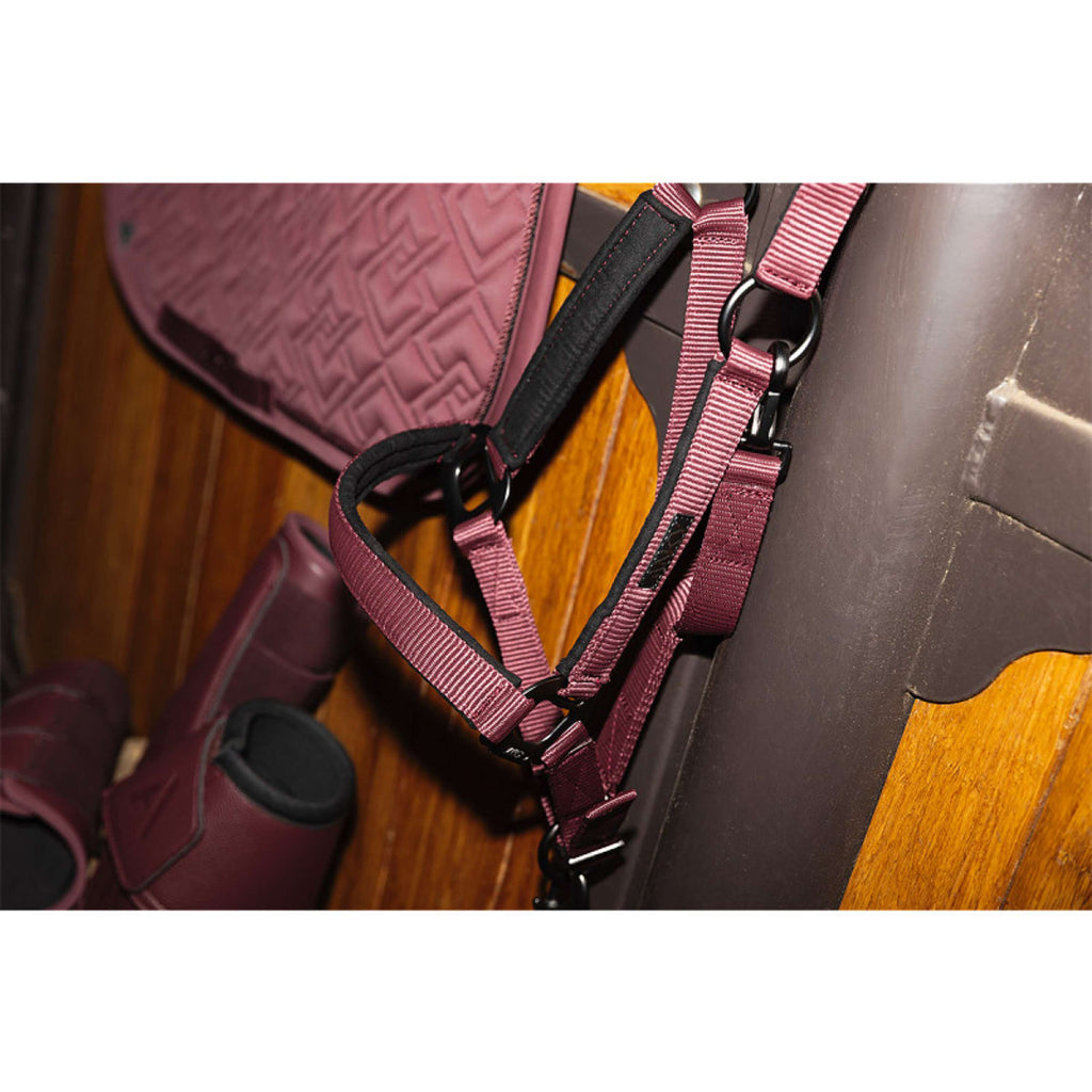 ANKY Halsterset ATH26001 3C Sassafras