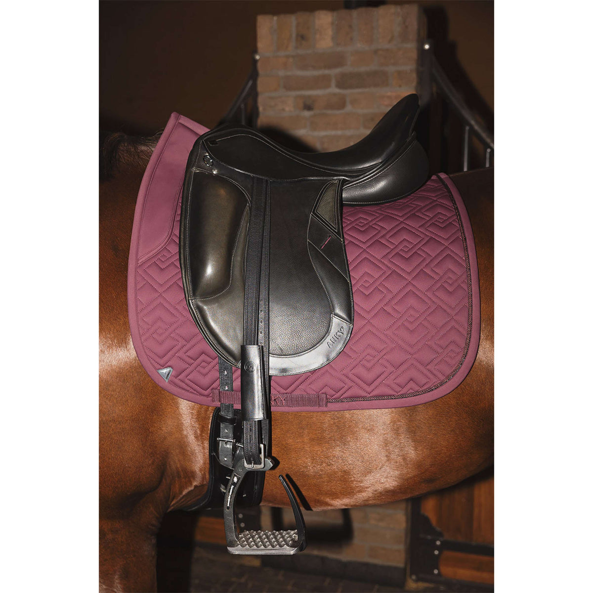 ANKY Zadeldekje Professional XB25001 3C Dressuur Sassafras