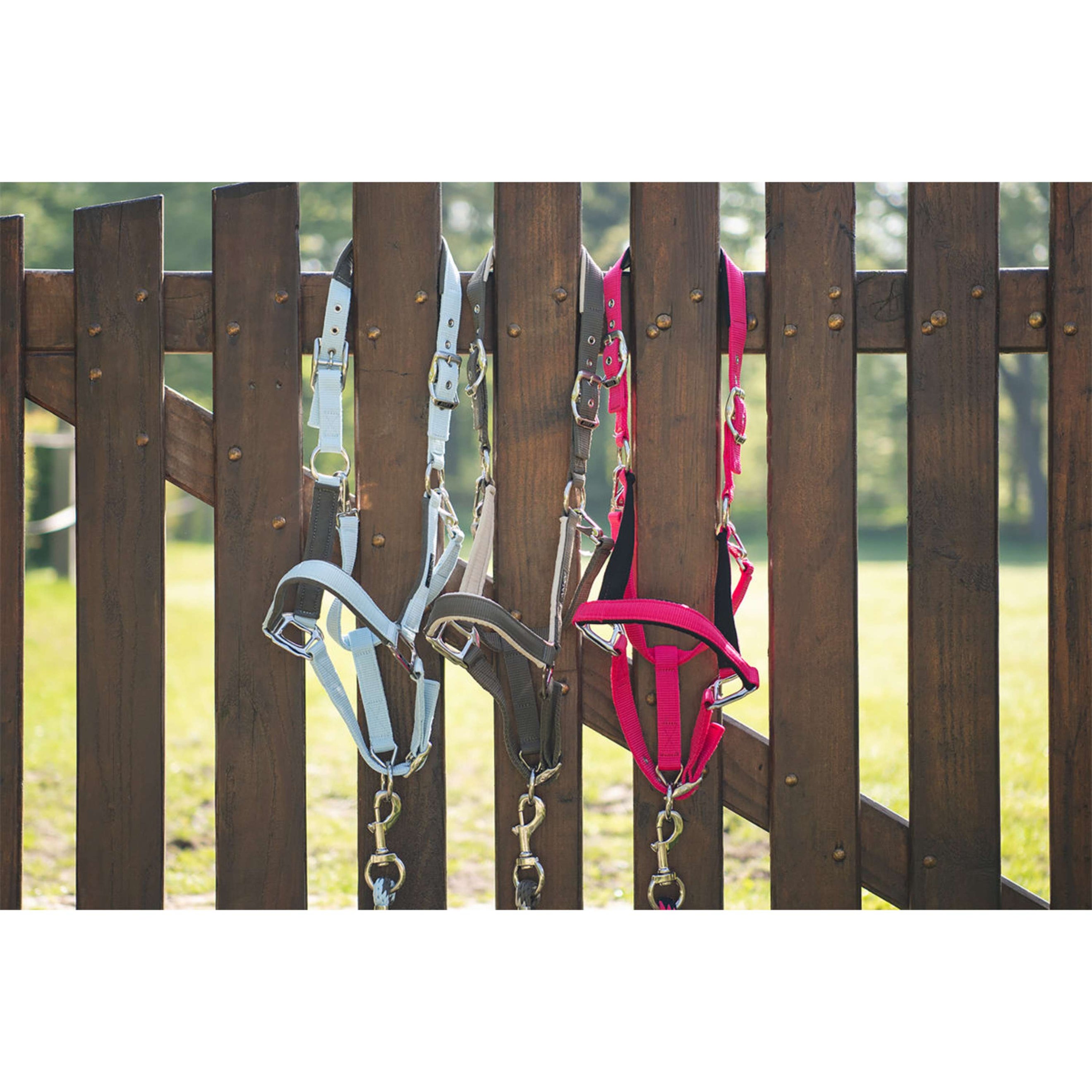 ANKY Halsterset ATH261001 Innuendo ANKY Halsterset ATH261001 Innuendo