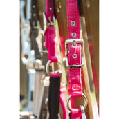 ANKY Halsterset ATH261001 Innuendo