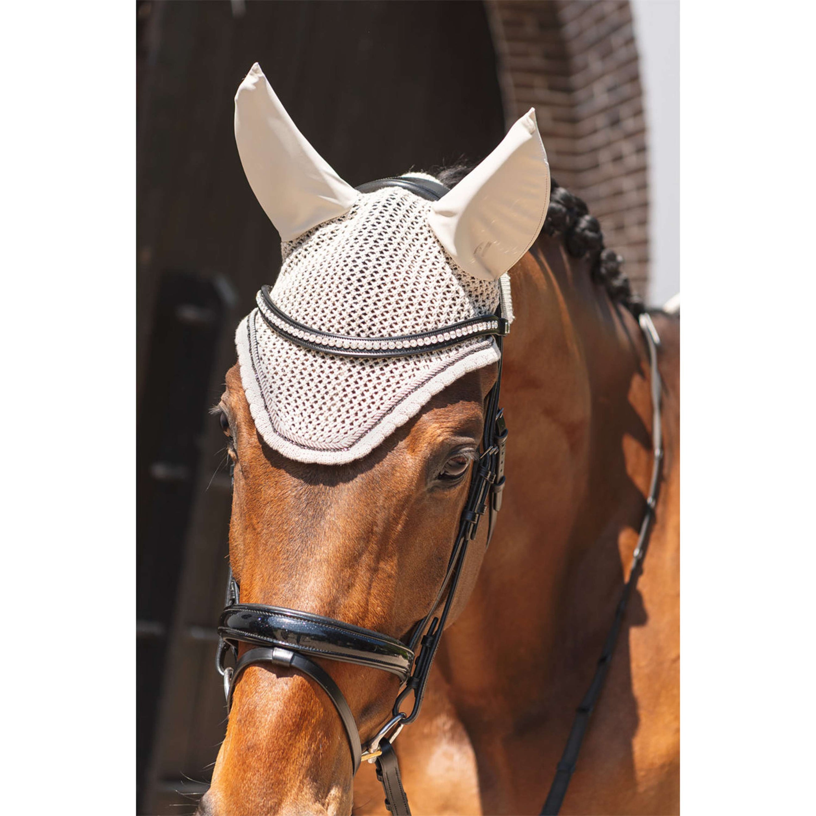 ANKY Oornetje ATB261004 Island Fossil