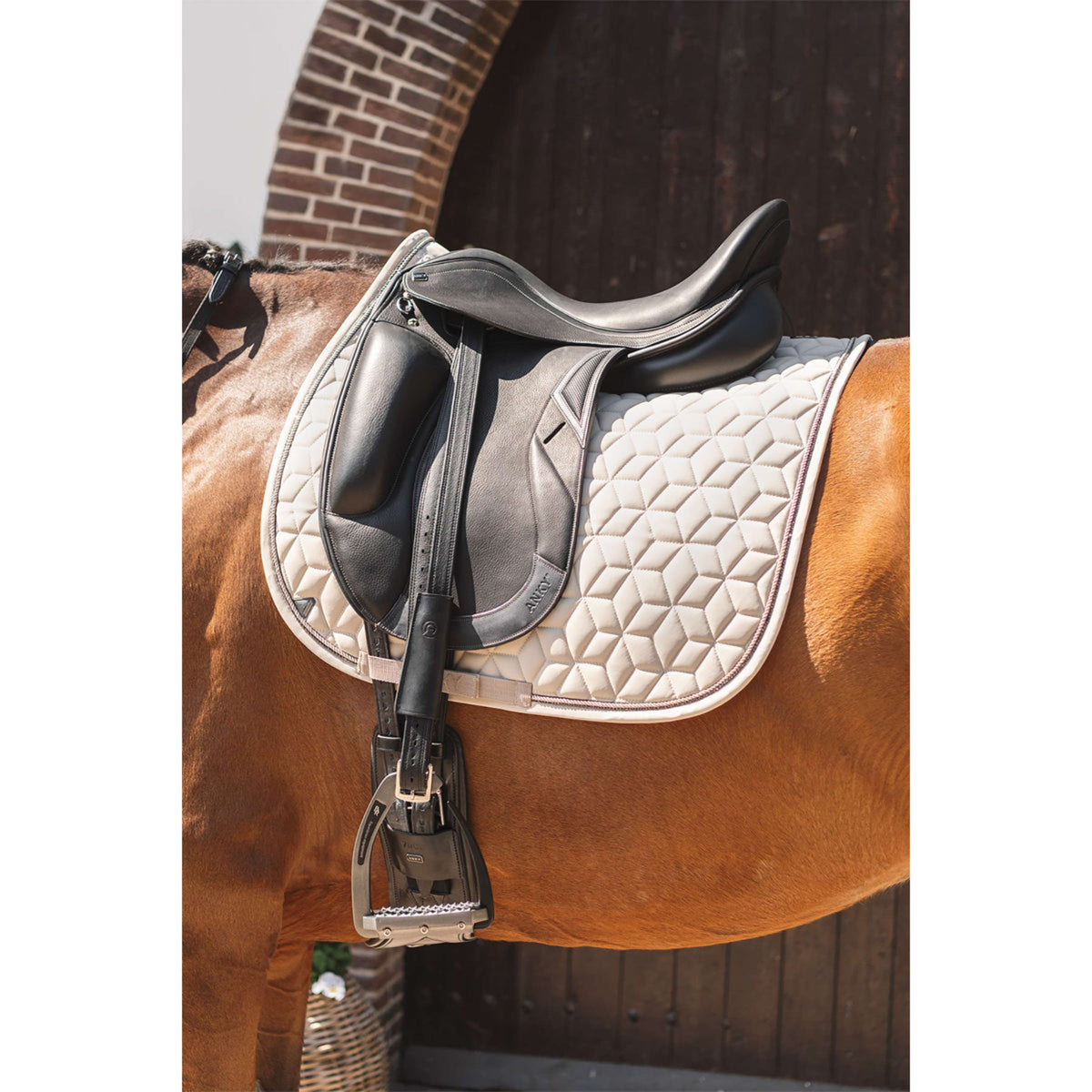 ANKY Zadeldekje Vivacity XB261111 Dressuur Island Fossil