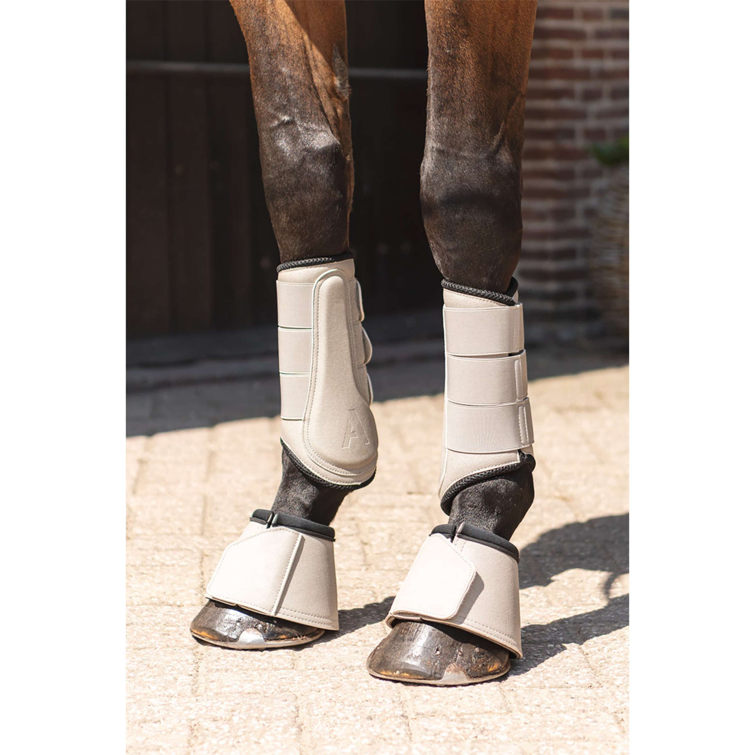 ANKY Dressage Boots Proficient ATB261001 Island Fossil ANKY Dressage Boots Proficient ATB261001 Island Fossil