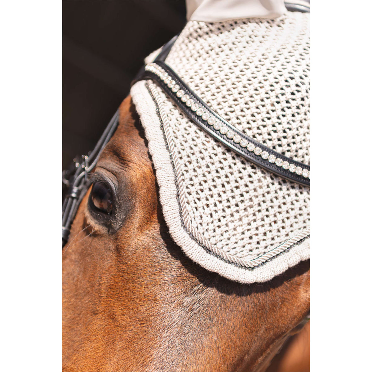 ANKY Oornetje ATB261004 Island Fossil