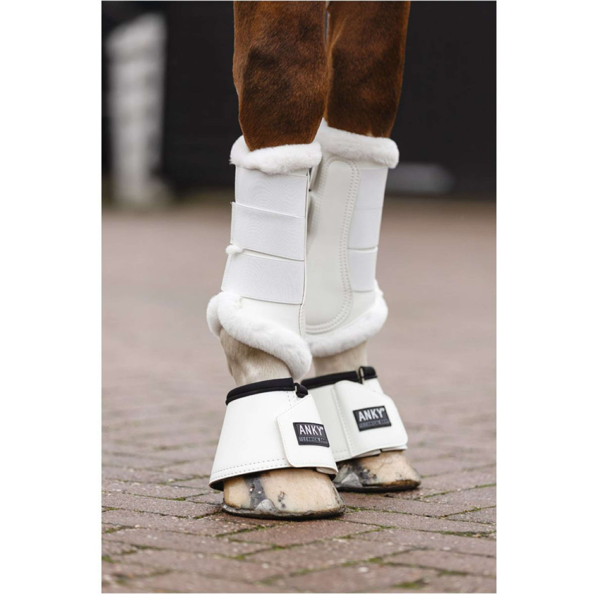 ANKY Dressage Boots Wit