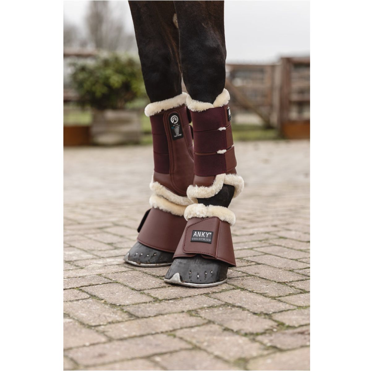 ANKY Springschoenen Active Port Royale