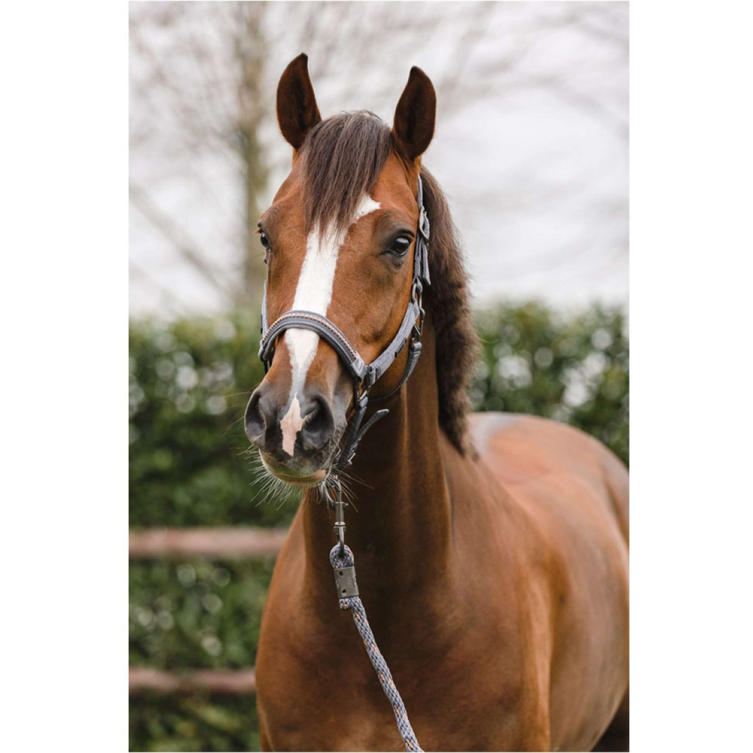 ANKY Halsterset Stones Steel Grey ANKY Halsterset Stones Steel Grey