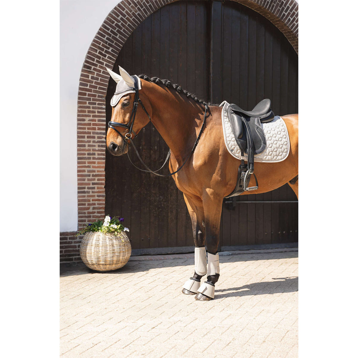 ANKY Springschoenen Bell ATB261003 Island Fossil