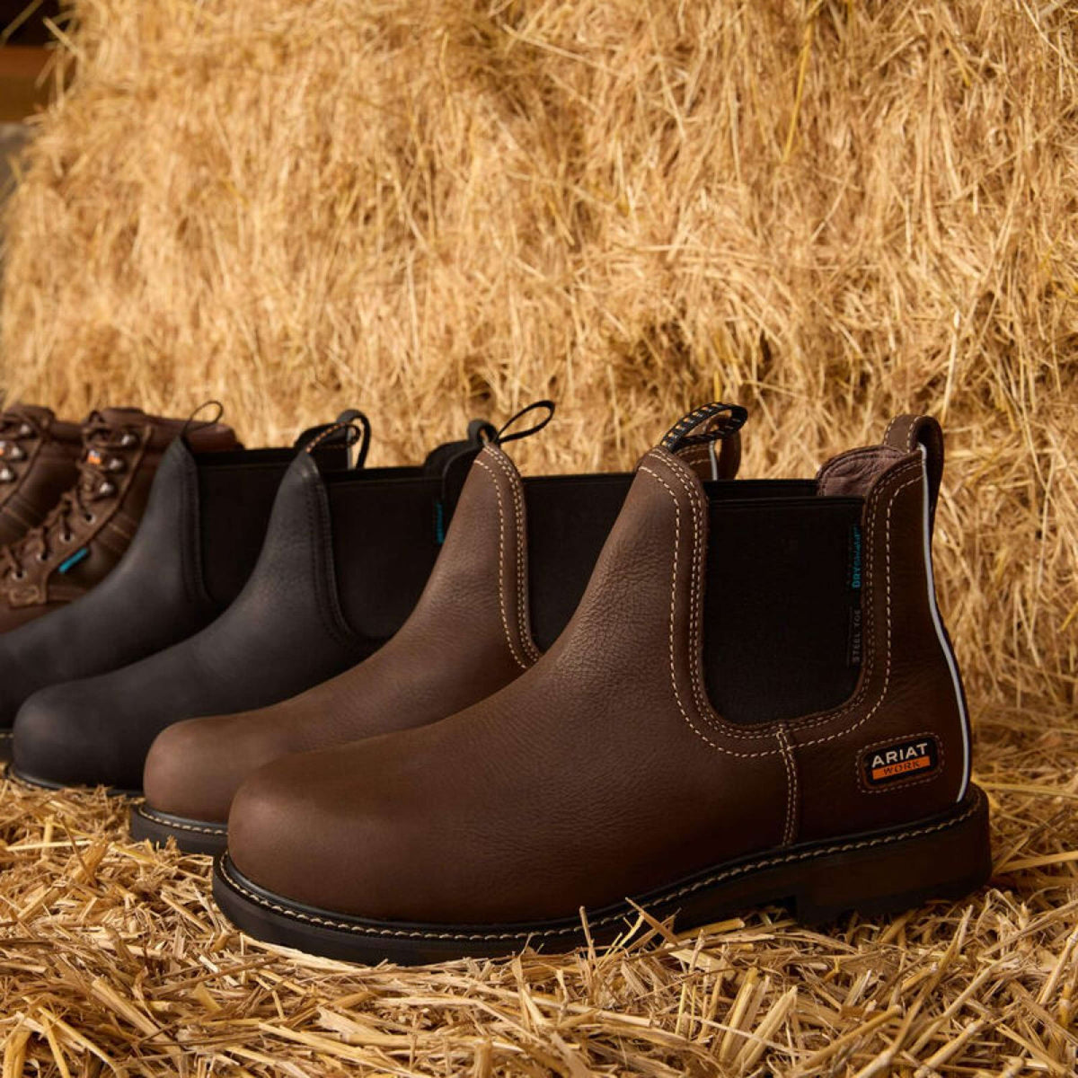 Ariat Jodhpurs Groundbreaker Chelsea Waterproof Steel Toe Heren Bruin