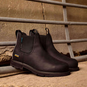 Ariat Jodhpurs Groundbreaker Chelsea Waterproof Steel Toe Heren Zwart