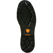 Ariat Jodhpurs Groundbreaker Chelsea H20 Heren Donkerbruin