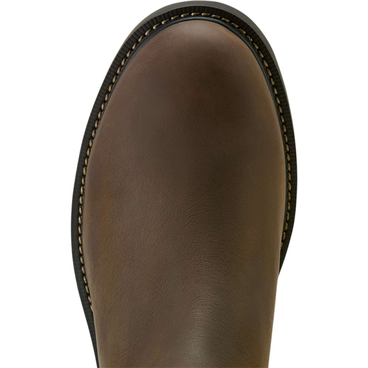 Ariat Jodhpurs Groundbreaker Chelsea H20 Heren Donkerbruin