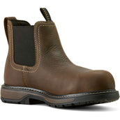 Ariat Jodhpurs Riverter Chelsea H20 Dames Donkerbruin