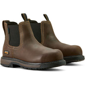 Ariat Jodhpurs Riverter Chelsea H20 Dames Donkerbruin