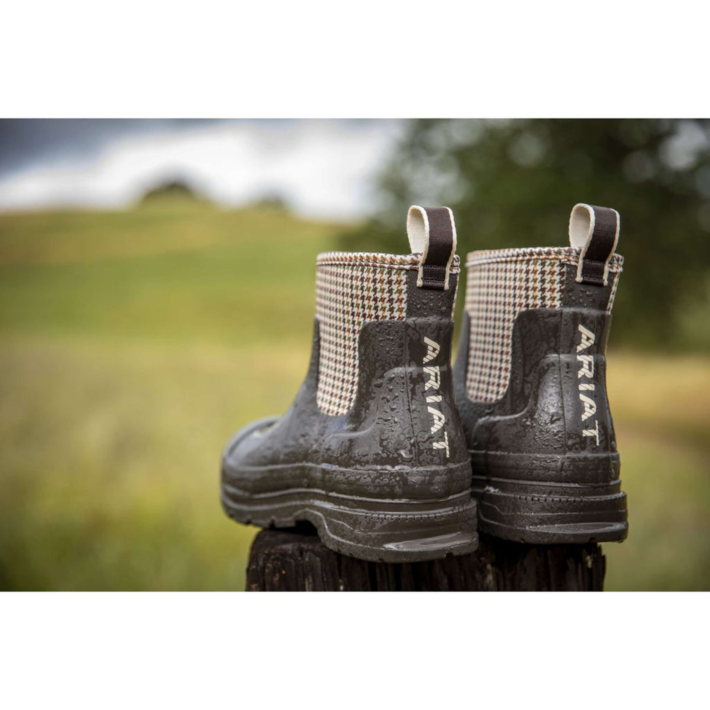 Ariat Jodphurs Kelmarsh Shortie Dames Chocolate/Tan Twill