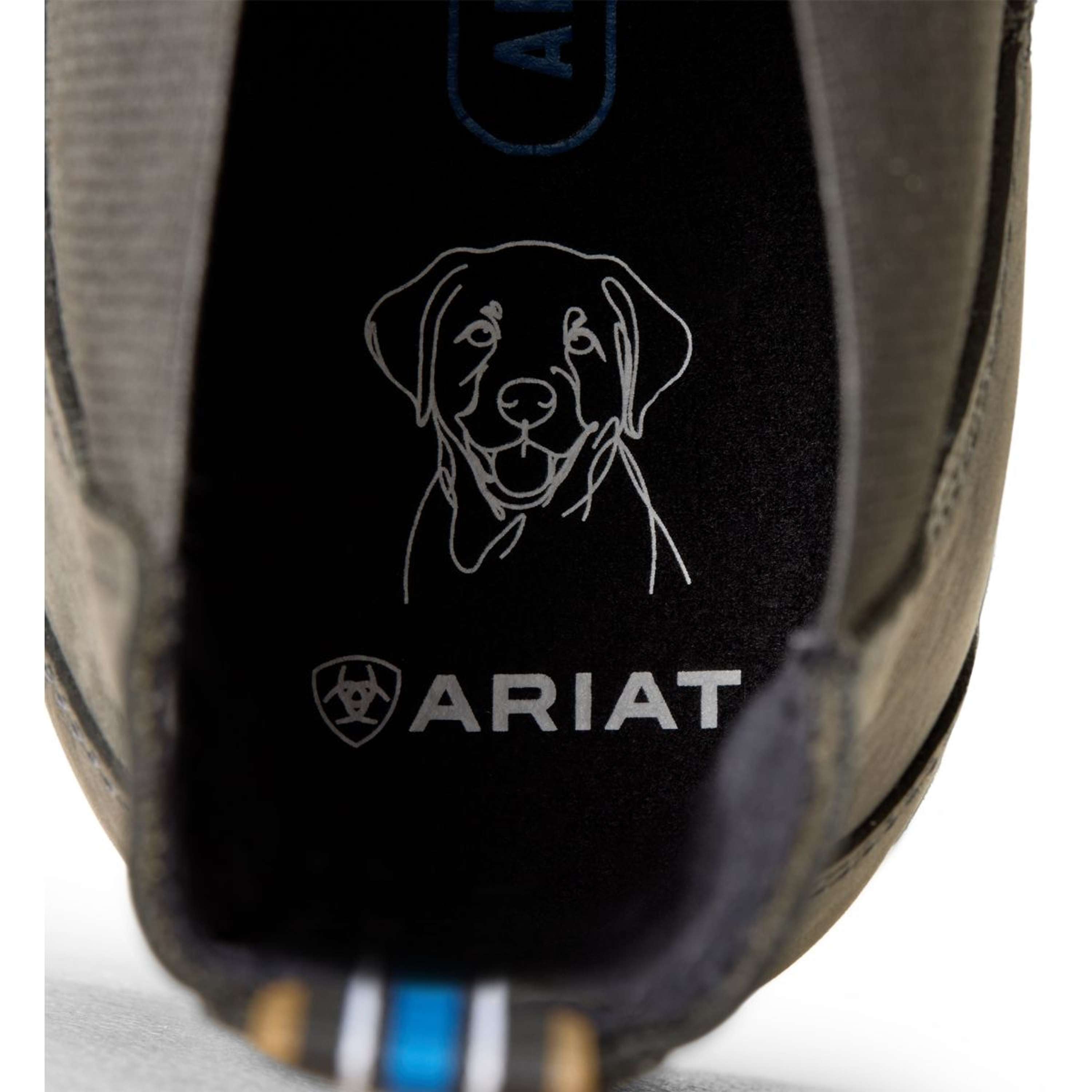 Ariat Jodphurs Cooper Heren Castlerock
