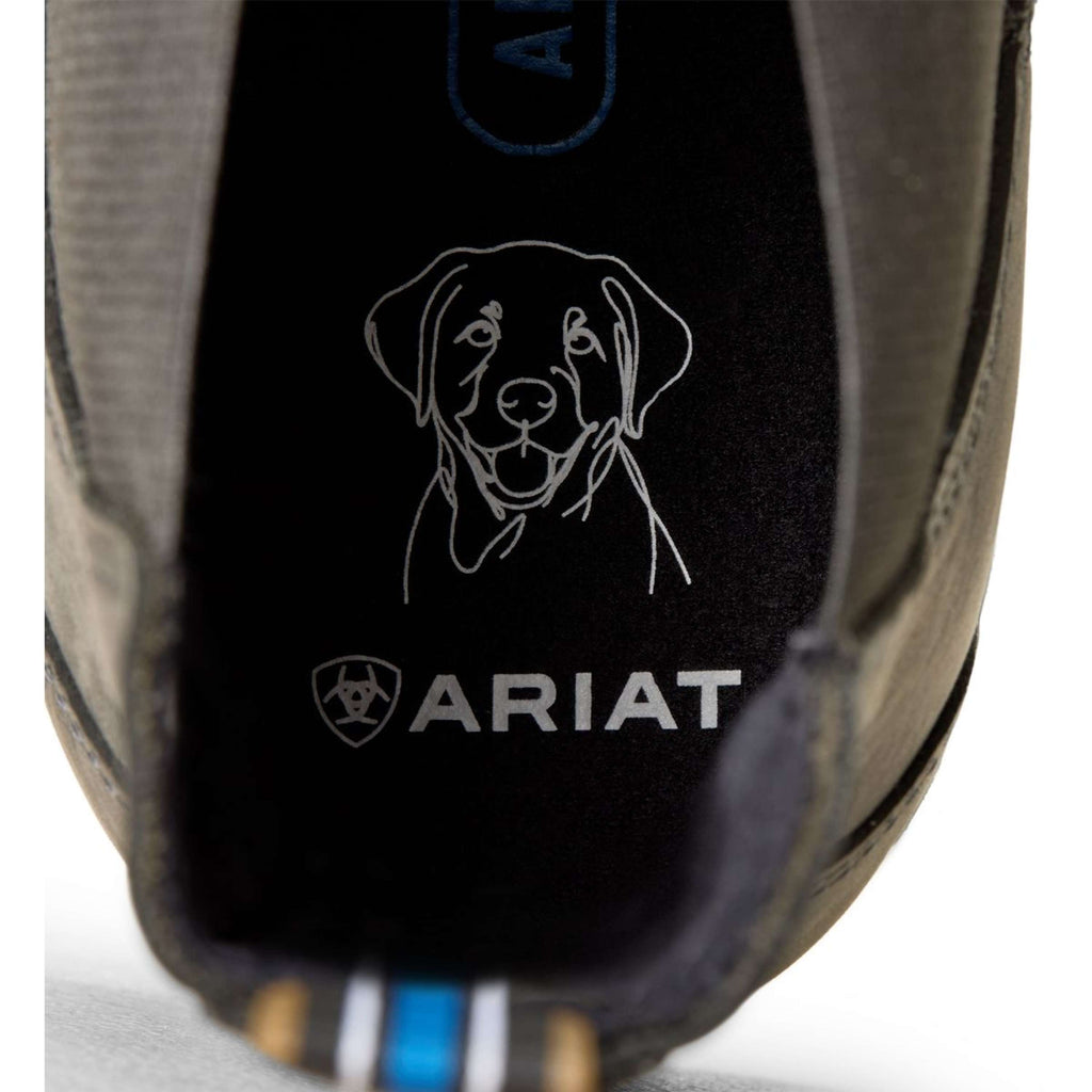 Ariat Jodphurs Cooper Heren Castlerock