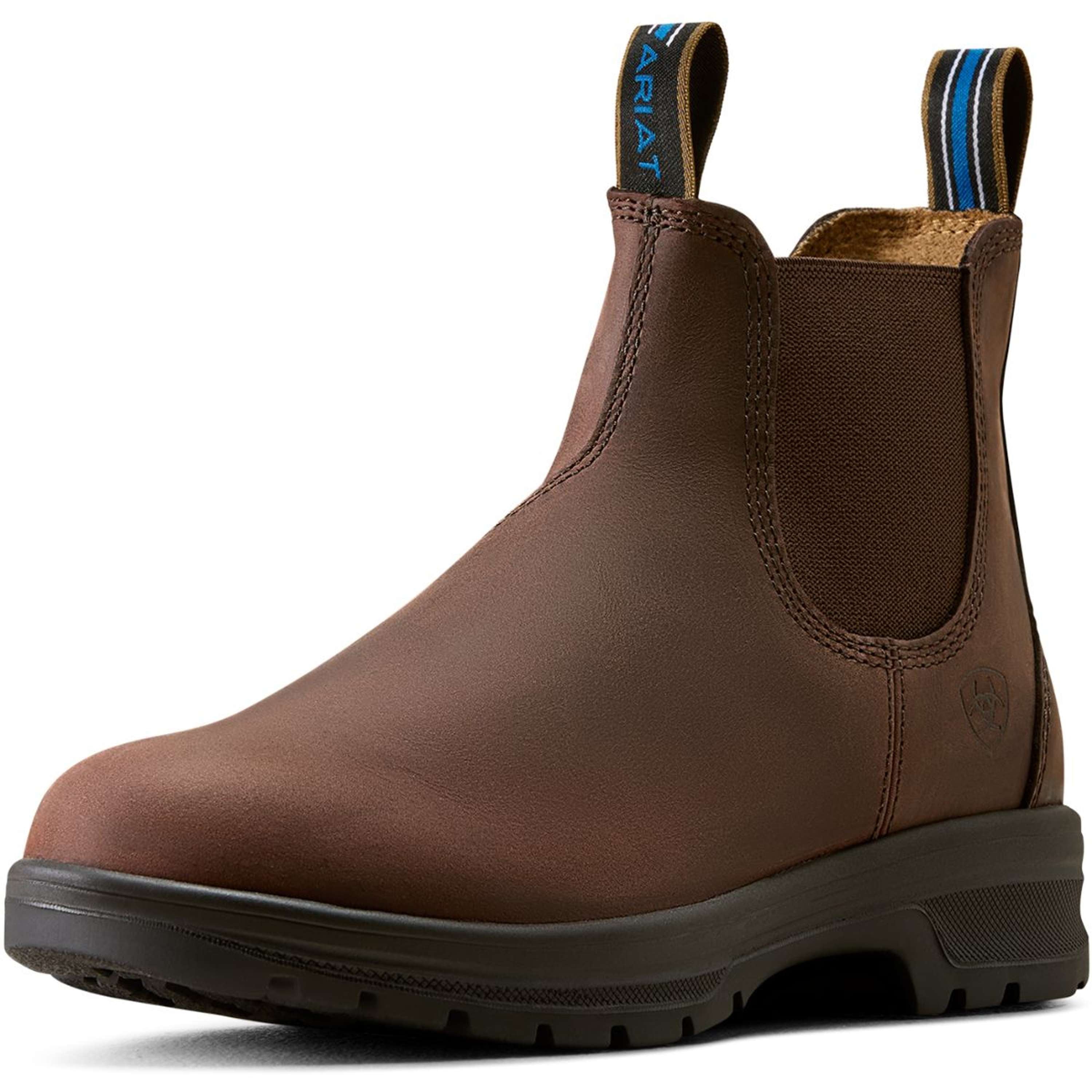 Ariat Jodphurs Cooper Dames Brunette