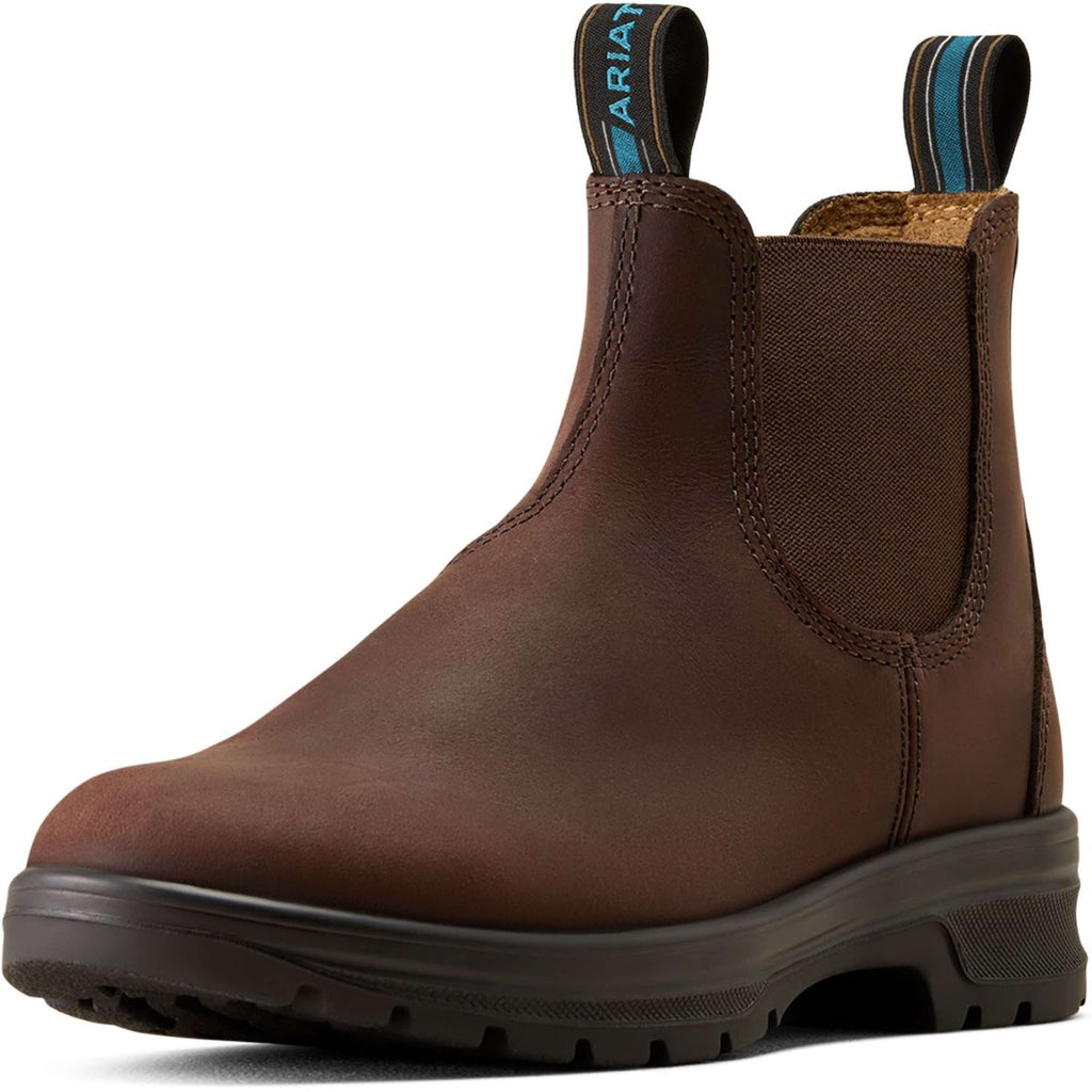 Ariat Jodphurs Cooper Dames Brunette