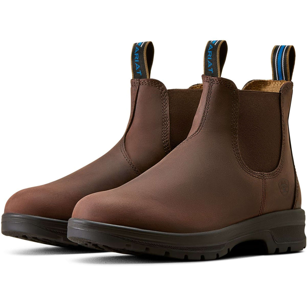 Ariat Jodphurs Cooper Dames Brunette
