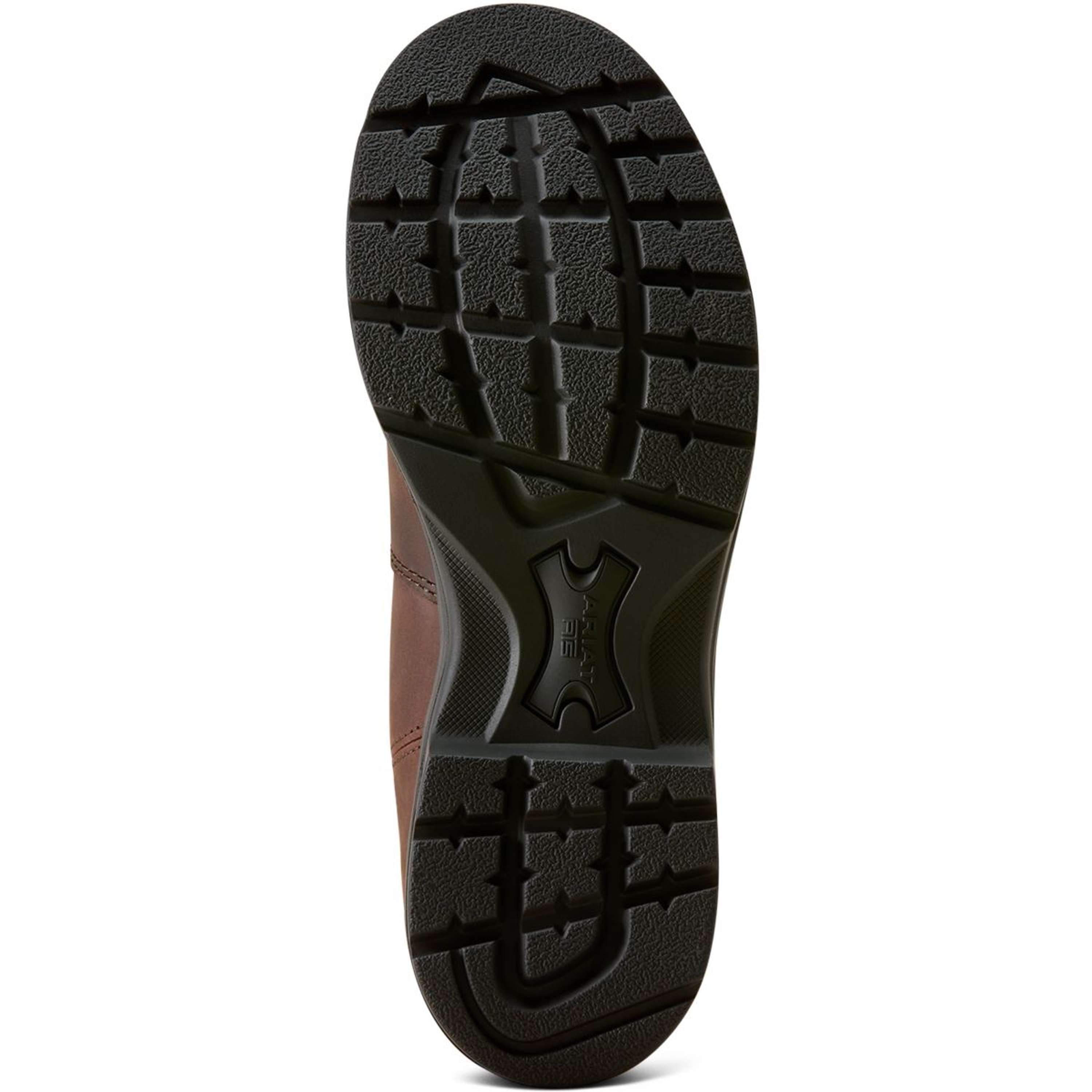 Ariat Jodphurs Cooper Dames Brunette