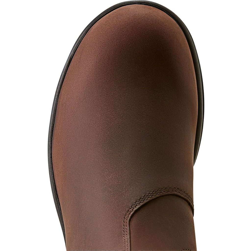 Ariat Jodphurs Cooper Dames Brunette