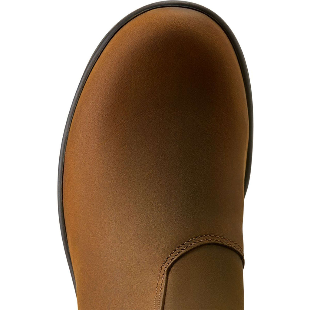 Ariat Jodphurs Cooper Dames Distressed Copper
