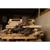 Ariat Jodhpurs Riverter Chelsea H20 Dames Donkerbruin