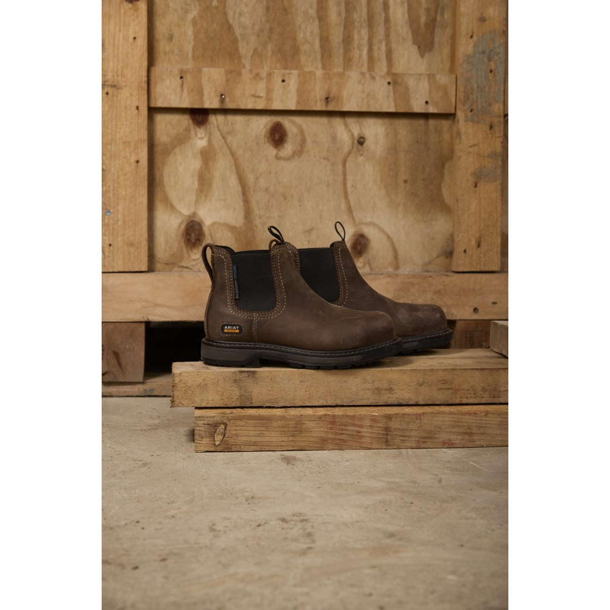 Ariat Jodhpurs Riverter Chelsea H20 Dames Donkerbruin