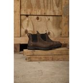 Ariat Jodhpurs Riverter Chelsea H20 Dames Donkerbruin
