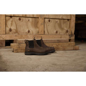 Ariat Jodhpurs Riverter Chelsea H20 Dames Donkerbruin