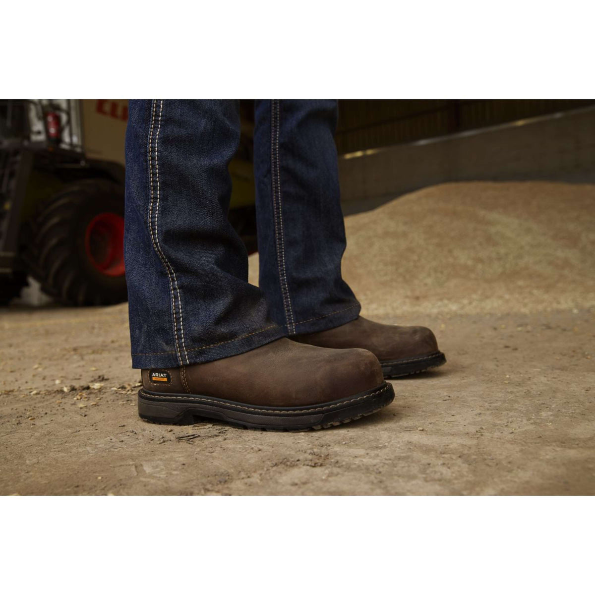 Ariat Jodhpurs Riverter Chelsea H20 Dames Donkerbruin
