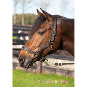 Harry's Horse Halsterset Kirchberg Jet Black