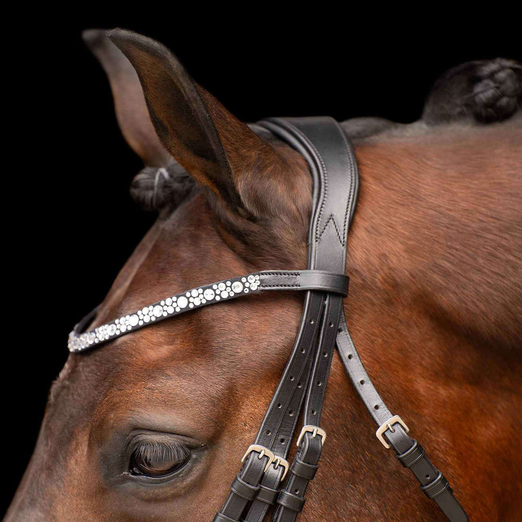 Imperial Riding Stang- en Trenshoofdstel IRHOlympia Zwart/Wit