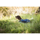 Cool on Track Hondenjas 2.0 Blauw