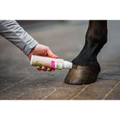 Bense & Eicke LaurierBooster