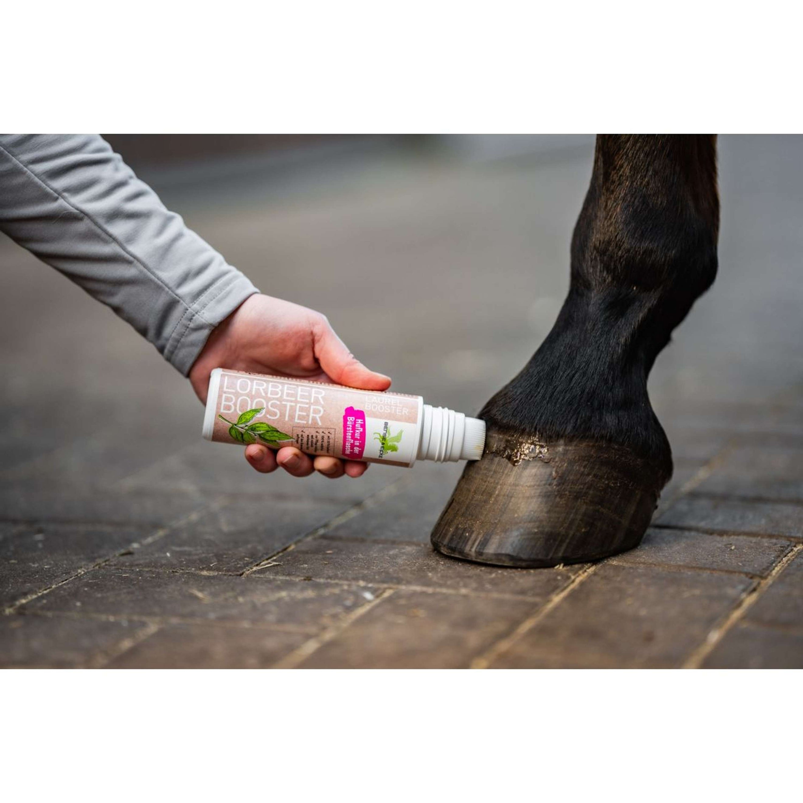 Bense & Eicke LaurierBooster