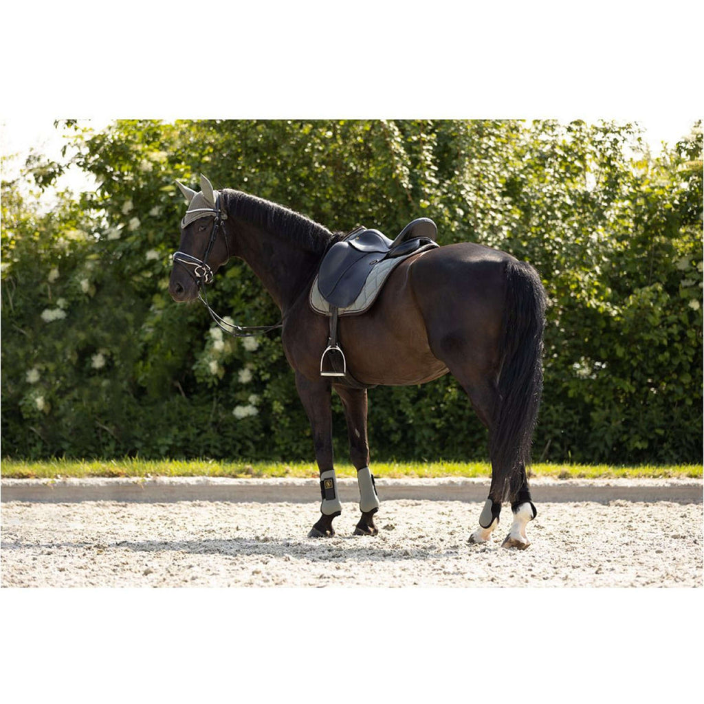 BR Peesbeschermers Event Neopreen Voering Mulled Basil