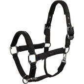 BR Halster AW25 Eevolv Josh Meteorite BR Halster AW25 Eevolv Josh Meteorite