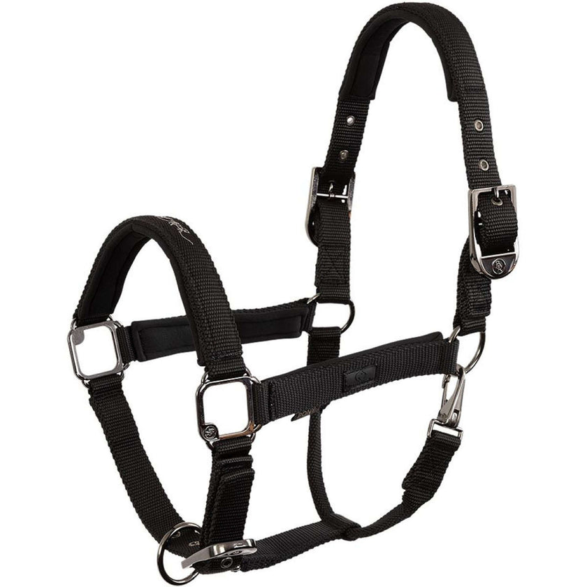 BR Halster AW25 Eevolv Josh Meteorite BR Halster AW25 Eevolv Josh Meteorite