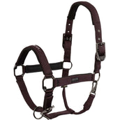 BR Halster AW25 Eevolv Josh Raisin