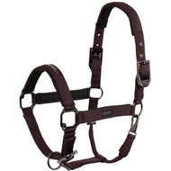 BR Halster AW25 Eevolv Josh Raisin