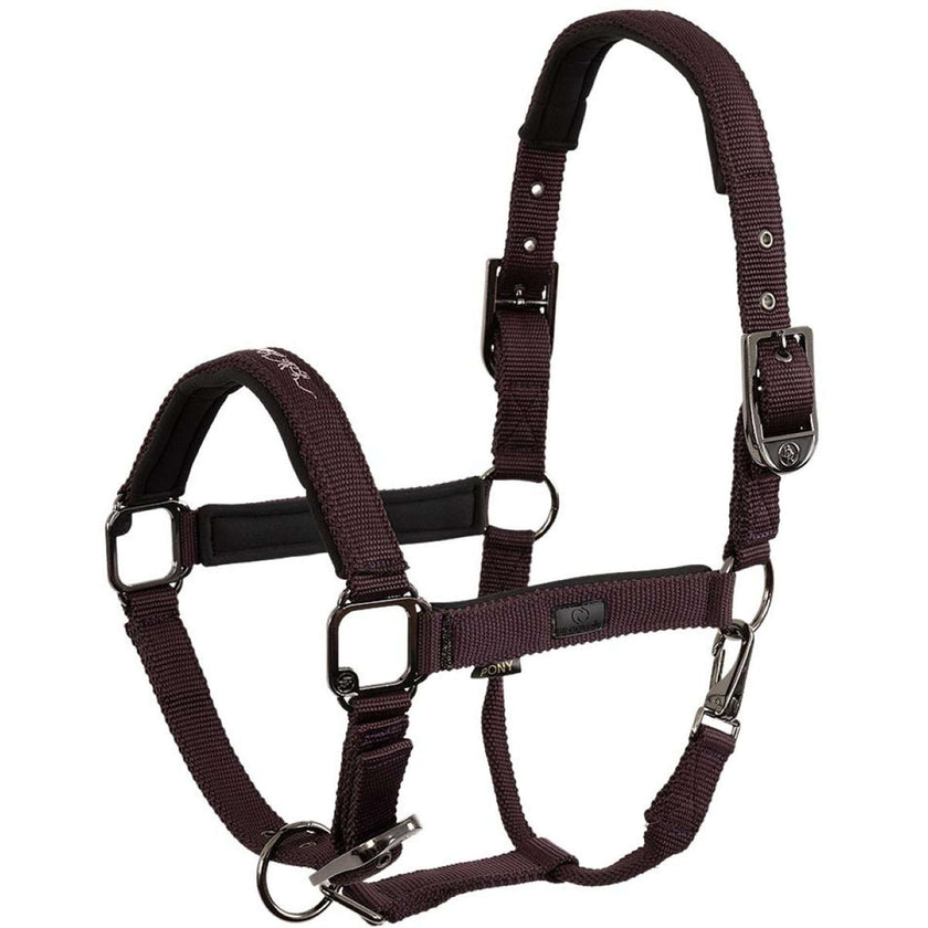 BR Halster AW25 Eevolv Josh Raisin