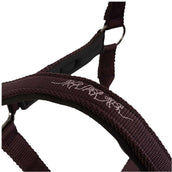 BR Halster AW25 Eevolv Josh Raisin