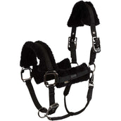 BR Halster AW25 Eevolv Jonne Meteorite