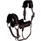 BR Halster AW25 Eevolv Jonne Raisin