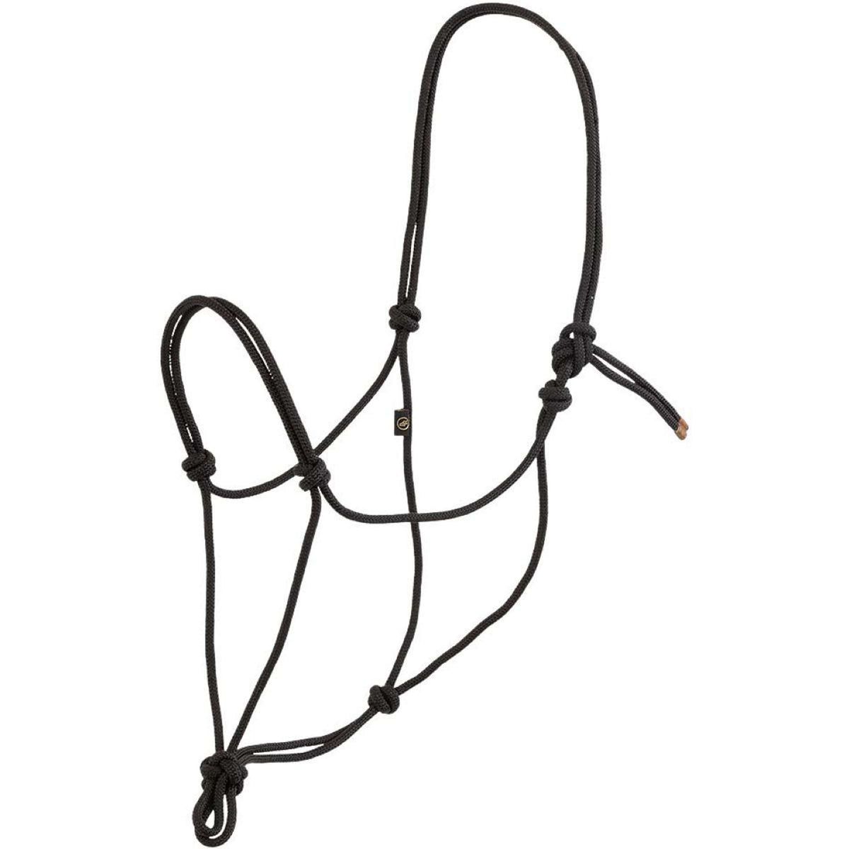 BR Touwhalster Meteorite