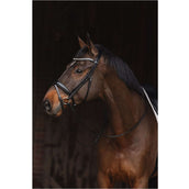 ANKY Hoofdstel Metallic Patent ATH24001 Zwart